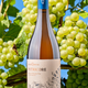 PETRICORE -