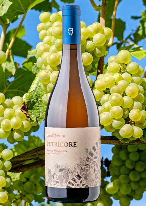 PETRICORE -